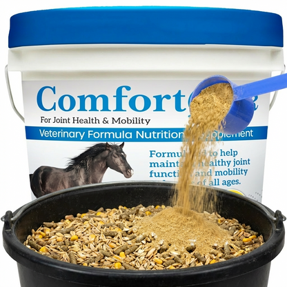 Comfort Quik Original Joint Health &amp; Mobility Supplement for Horses