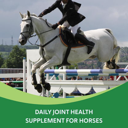 Comfort Quik w/ Hemp Joint Health &amp; Mobility Supplement for Horses