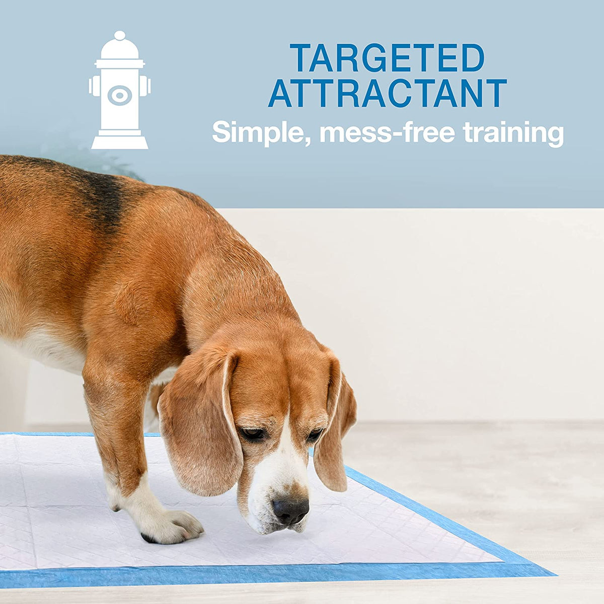 Wee-Wee Superior Performance Dog Pee Pads, 200 Count | Quilted Leak-Proof Puppy Pads, Dog Housebreaking &amp; Potty Training, 24-Hour Floor Protection, Pet Supplies, 22" X 23"