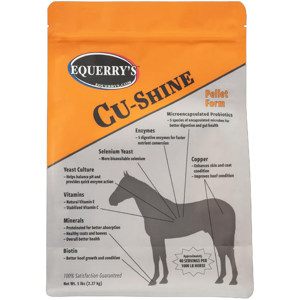 Equerry&
