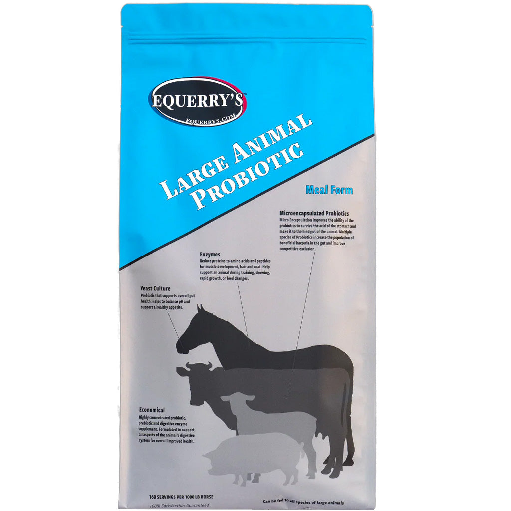 Equerry&