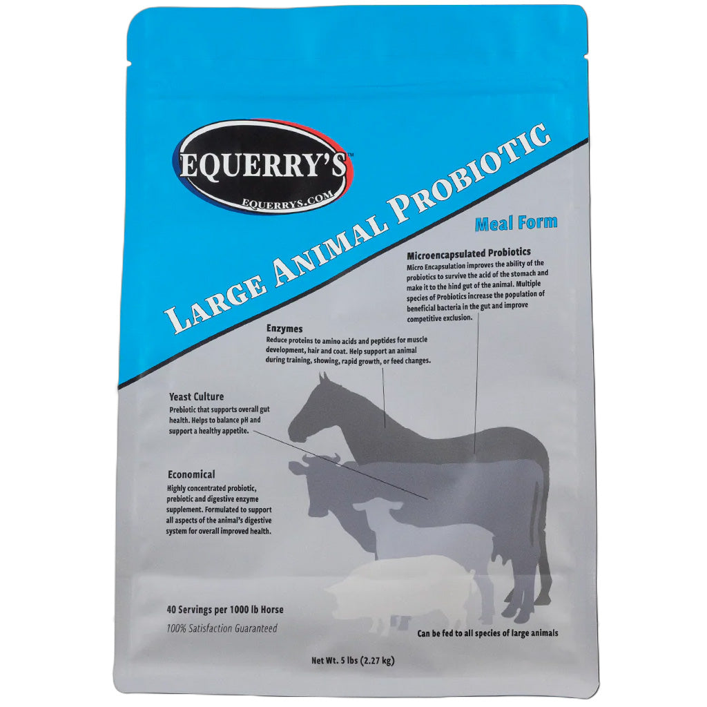 Equerry&