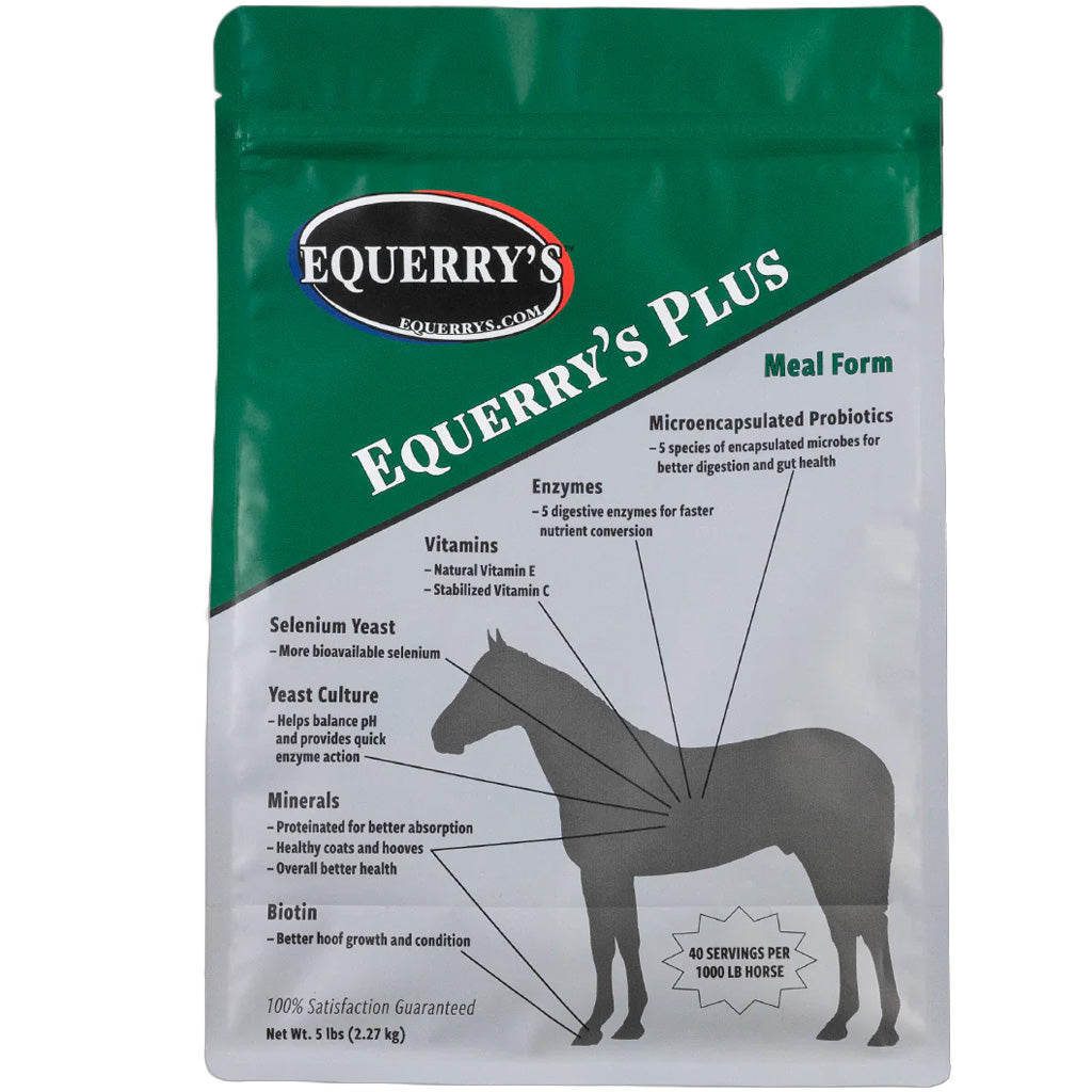 Equerry&