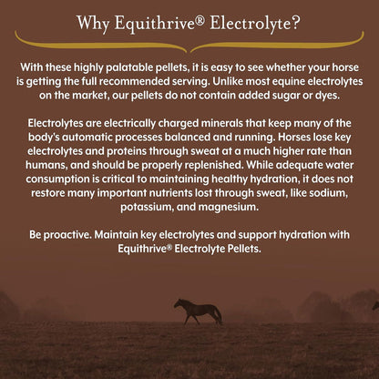 Equithrive Electrolyte Pellets Horse Supplements