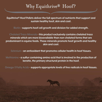 Equithrive Hoof Pellets Horse Supplements