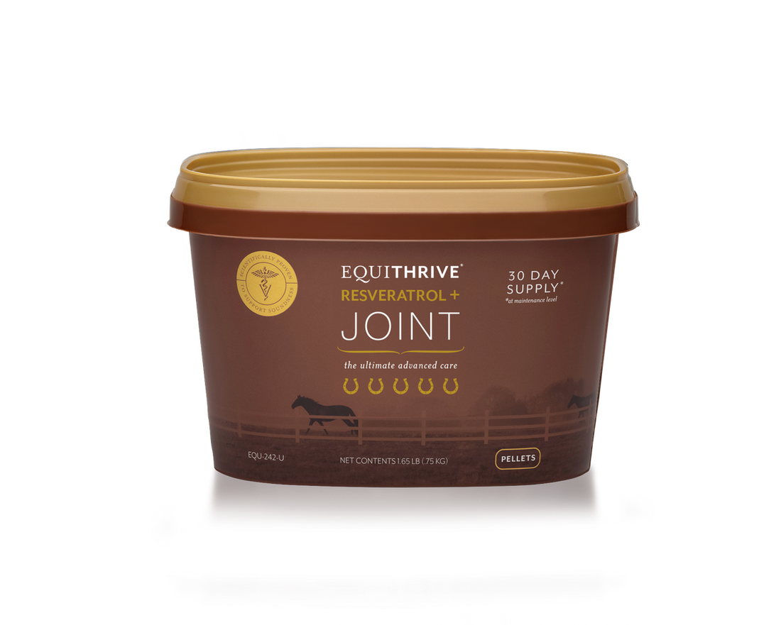 Equithrive Resveratrol + Joint Pellets for Horses