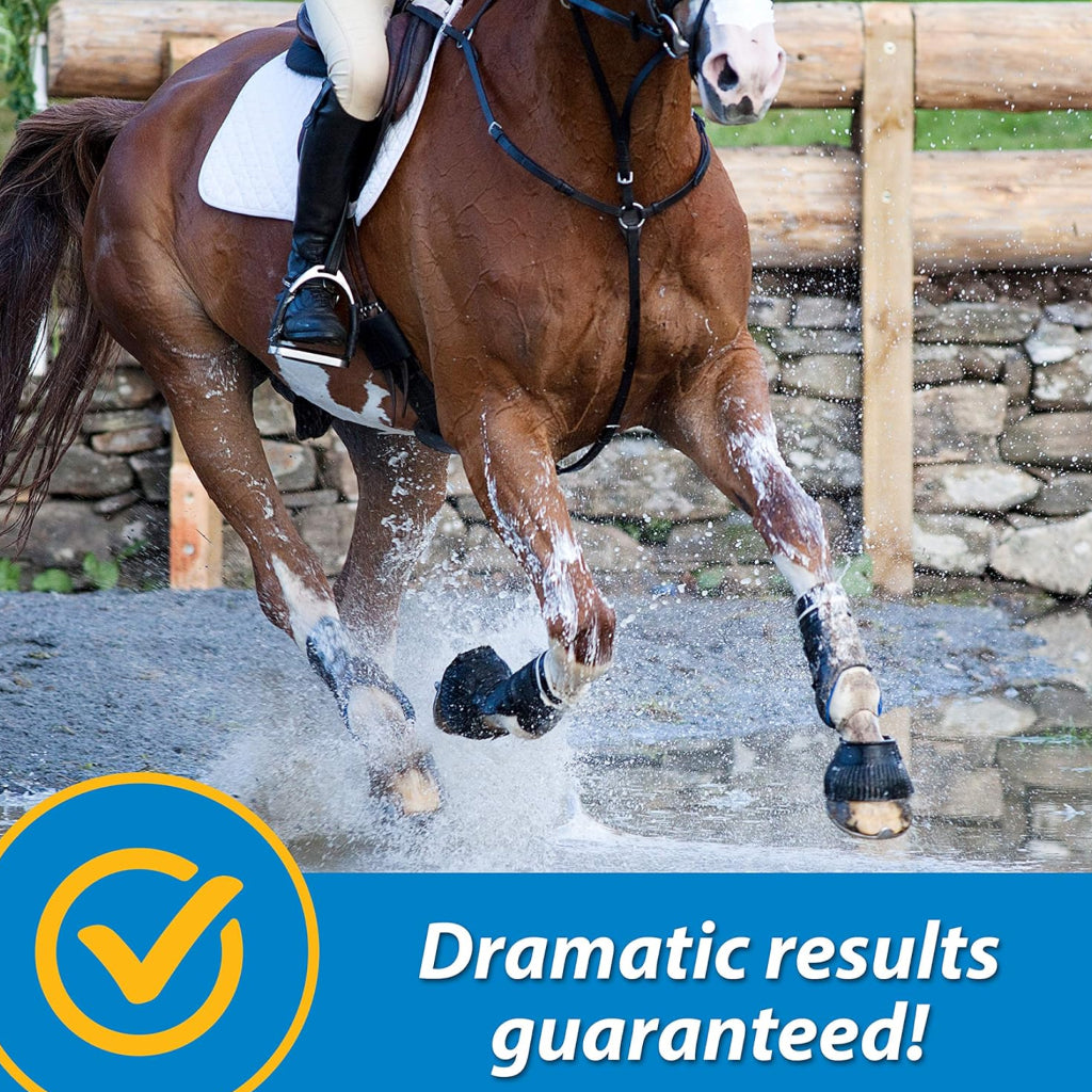 Farnam Fluidflex Liquid Joint Supplement for Horses