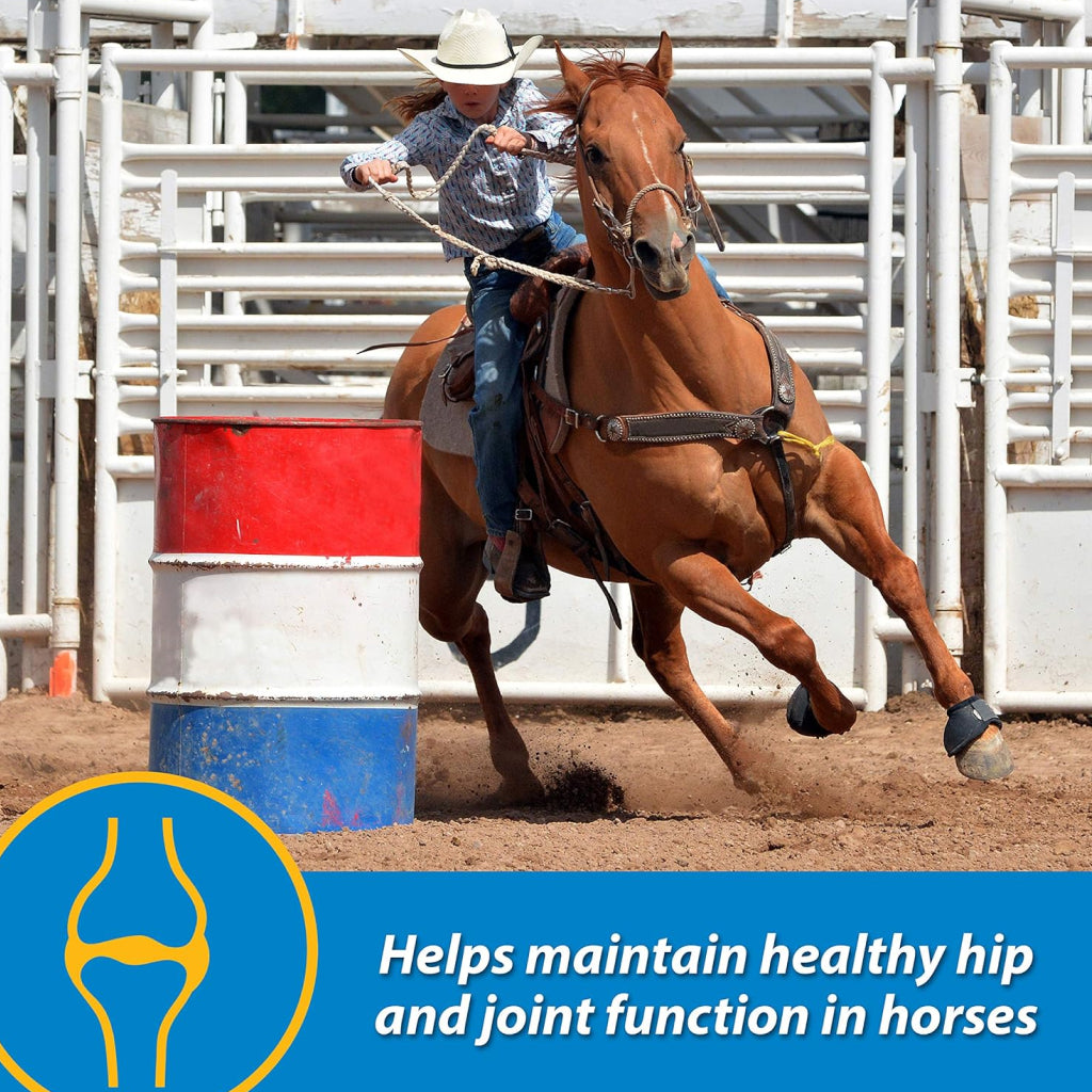 Farnam Fluidflex Liquid Joint Supplement for Horses