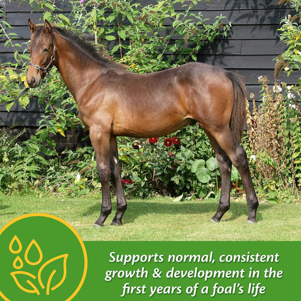Farnam Grow Colt Growth &amp; Development Horse Supplement