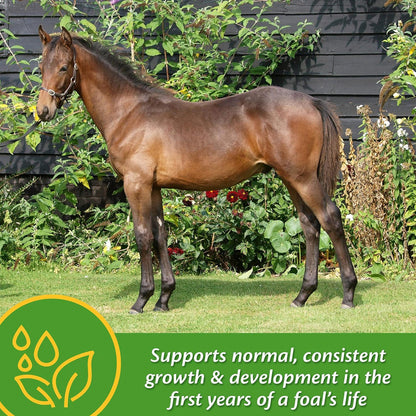 Farnam Grow Colt Growth &amp; Development Horse Supplement
