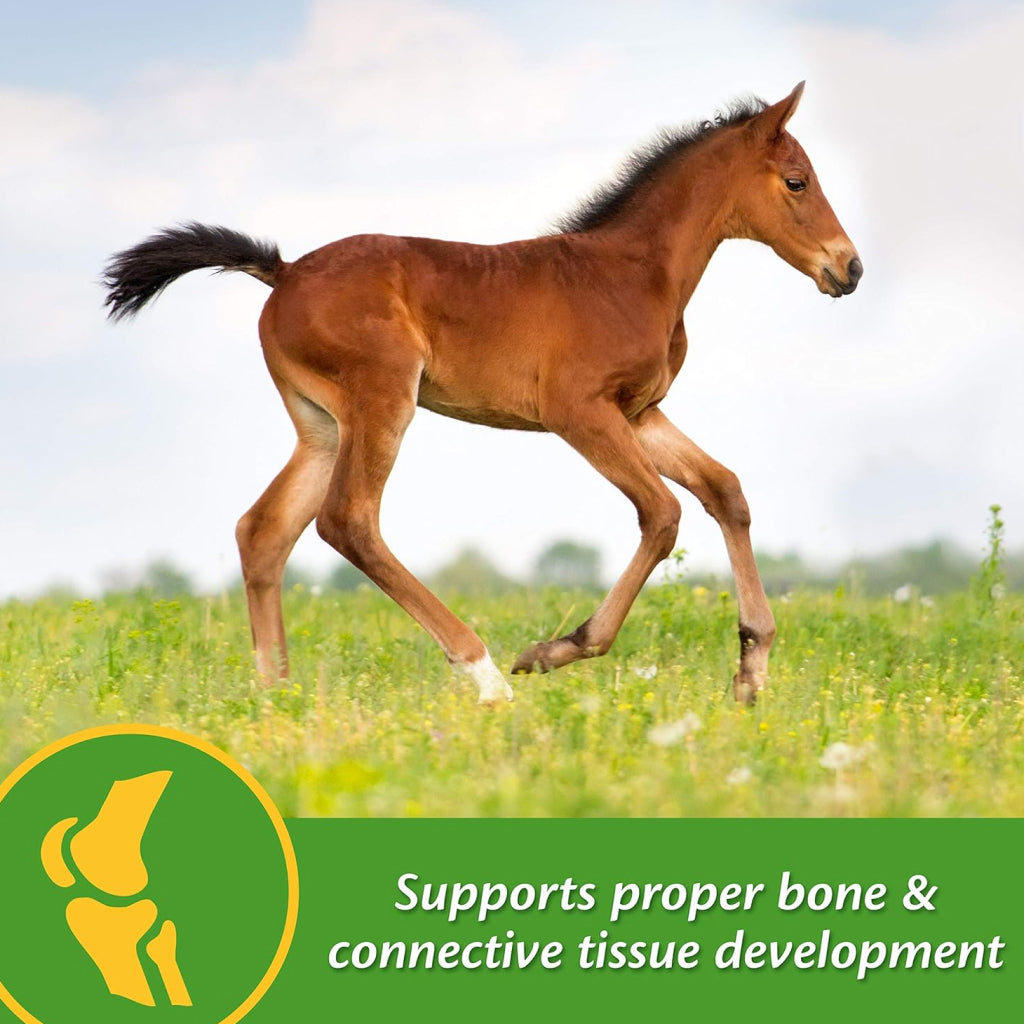 Farnam Grow Colt Growth &amp; Development Horse Supplement