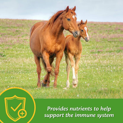 Farnam Grow Colt Growth &amp; Development Horse Supplement