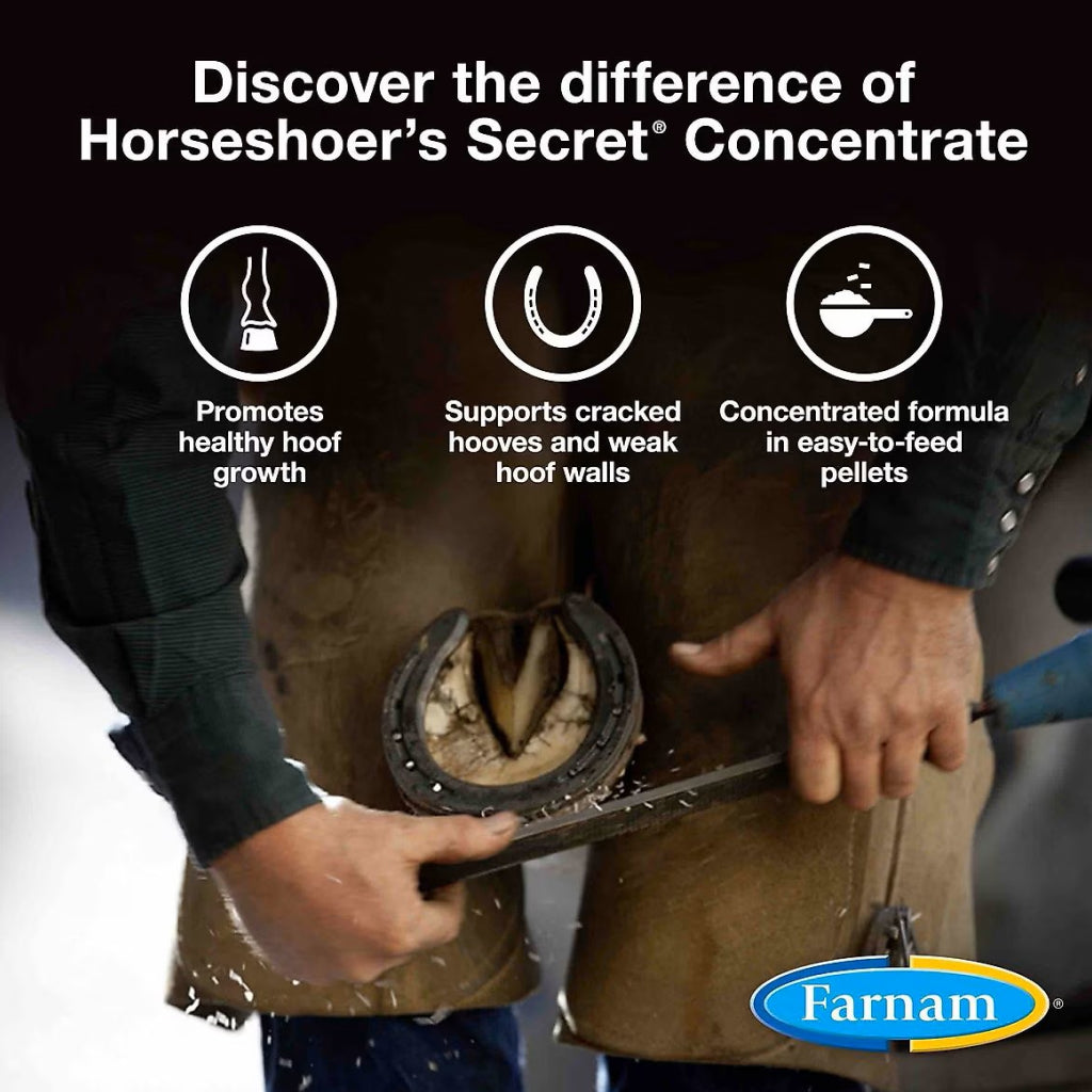 Farnam Horseshoer&