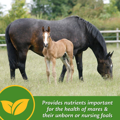 Farnam Mare Plus Gestation &amp; Lactation Supplement for Horses