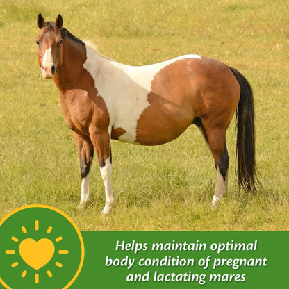 Farnam Mare Plus Gestation &amp; Lactation Supplement for Horses