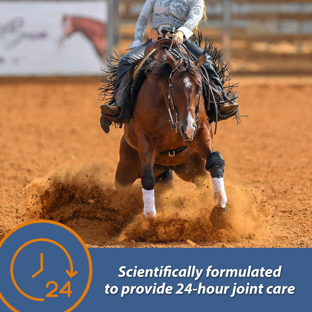 Farnam MaxFlex XR Extended Release Joint Supplement for Horses (30 day supply)
