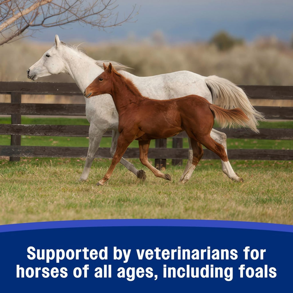 Farnam SandClear Psyllium Crumbles Digestive Supplement for Horses