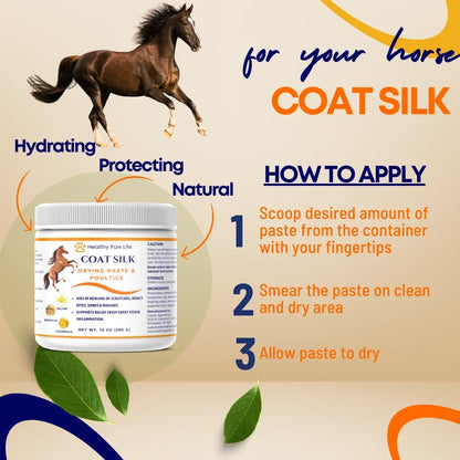 Healthy Paw Life Coat Silk Drying Paste &amp; Poultice for Horse, 10-oz