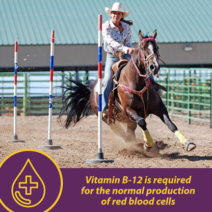 Horse Health Products Vita B-12 Crumbles Vitamin Supplement For Horses (3 lb)