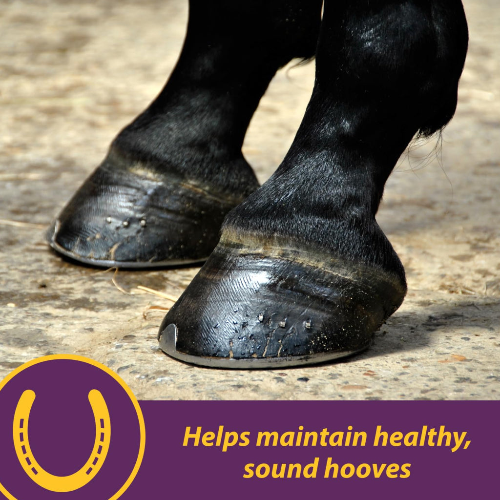Horse Health Products Vita-Biotin Cumbles Hoof Supplement for Horses (3 lb)