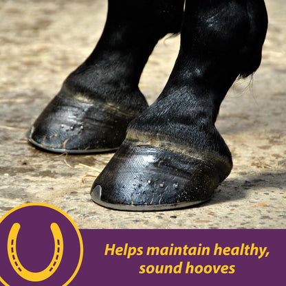 Horse Health Products Vita-Biotin Cumbles Hoof Supplement for Horses (3 lb)