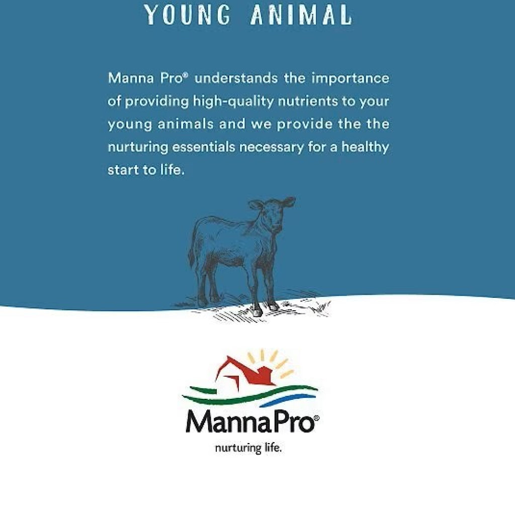 Manna Pro Alfalfa &amp; Molasses Bite-Sized Nugget Treats for Horses