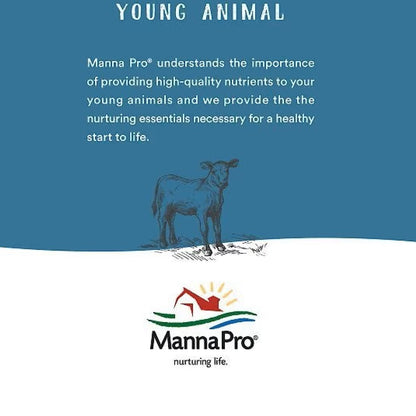 Manna Pro Alfalfa &amp; Molasses Bite-Sized Nugget Treats for Horses