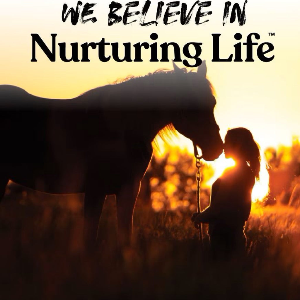 Manna Pro Alfalfa &amp; Molasses Bite-Sized Nugget Treats for Horses
