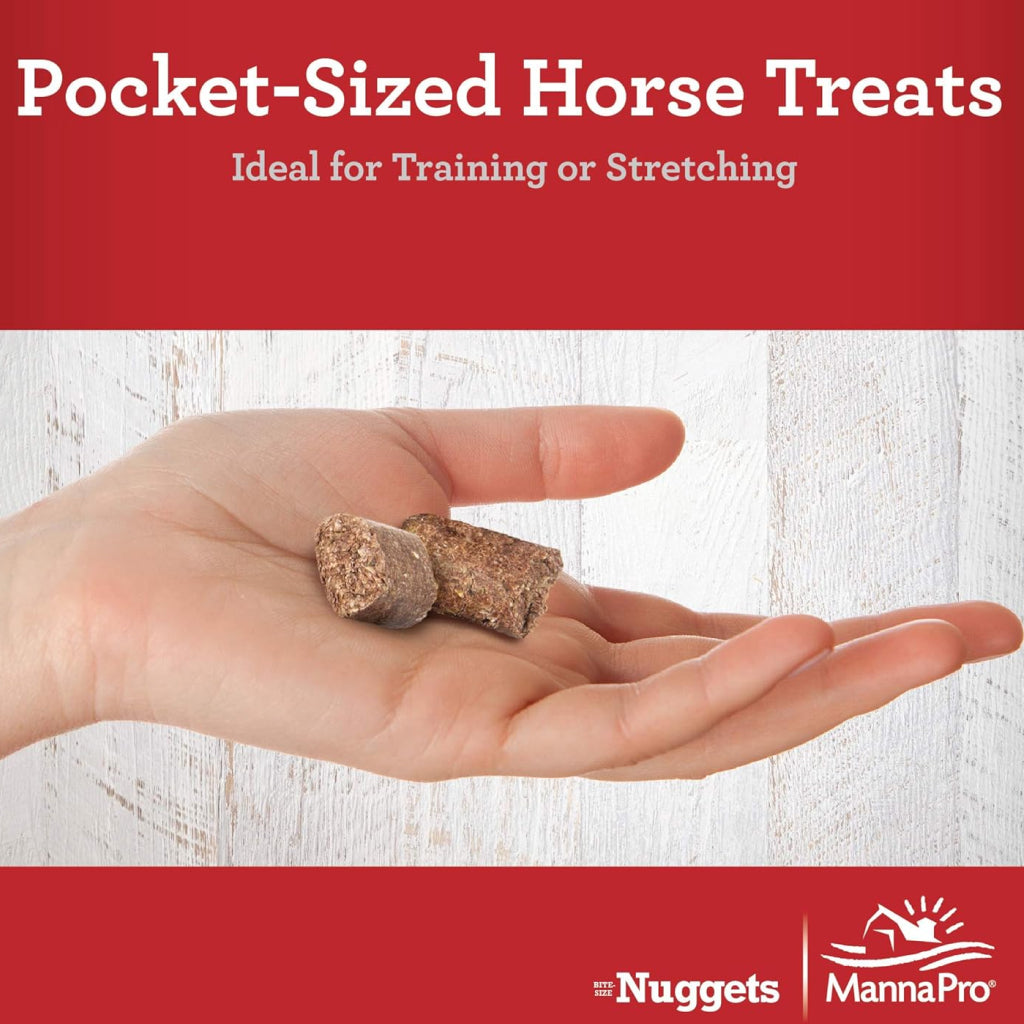 Manna Pro Carrots &amp; Spice Bite-Sized Nugget Treats for Horses (4 lb)