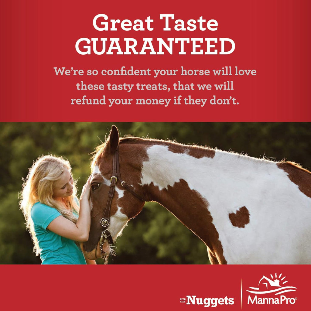 Manna Pro Carrots &amp; Spice Bite-Sized Nugget Treats for Horses (4 lb)