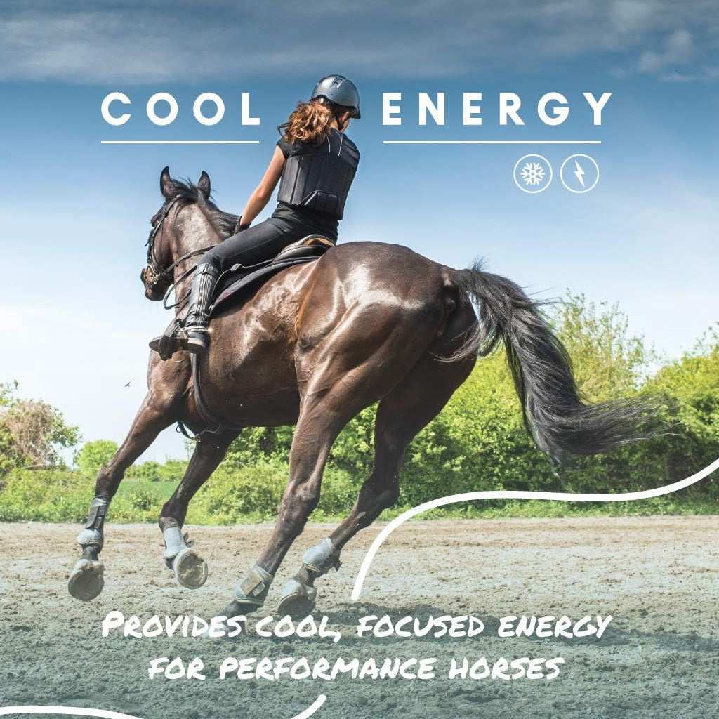 Manna Pro Cool Calories 100 Dry Fat Supplement for Horses