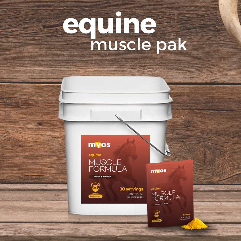 MYOS Equine Muscle Formula Packs For Horses