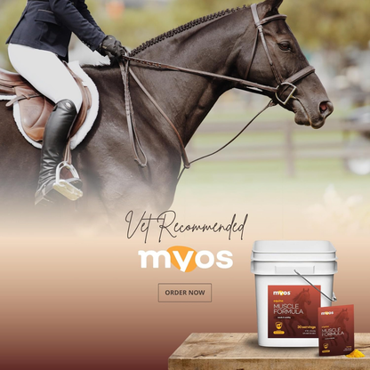 MYOS Equine Muscle &amp; Mobility Formula for Horses
