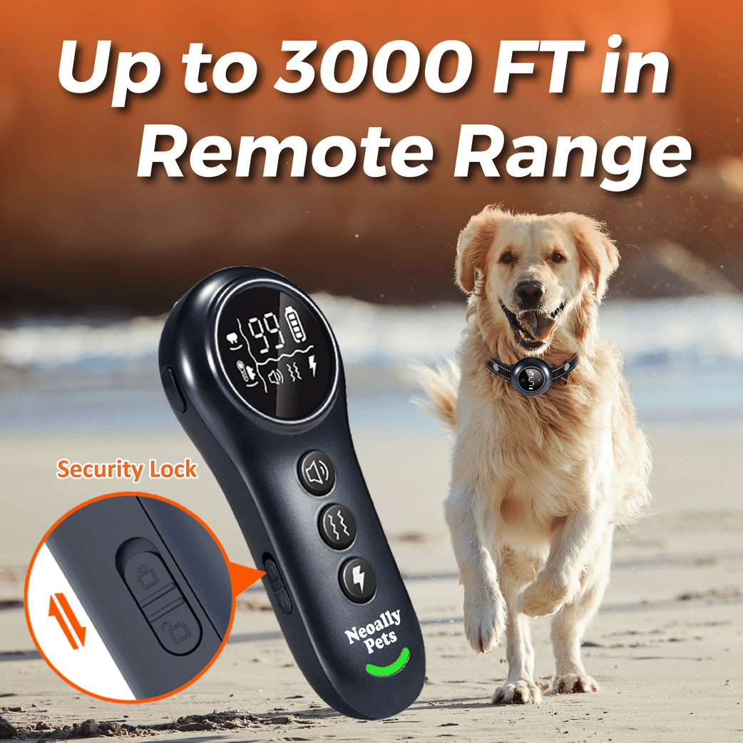 NeoAlly 2-in-1 Dog Training &amp; Bark Control Collar | Automatic Barking Detection, Remote Shock, 5-150lbs Dogs | Rechargeable, Waterproof