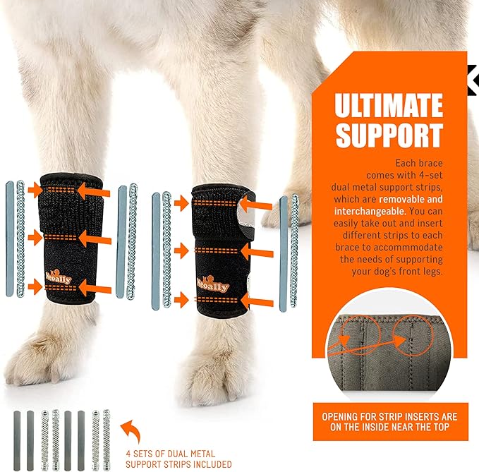 NeoAlly 3-in-1 Front Leg Dog Splint Brace: Rigid &amp; Spring Inserts, Safety Reflective Straps (Pair)