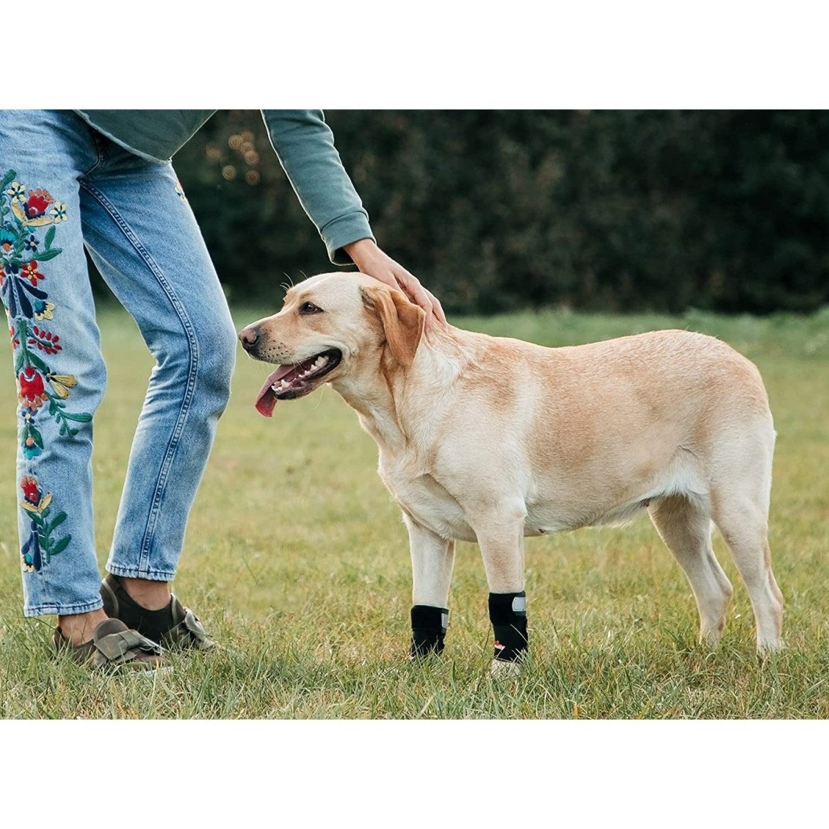 NeoAlly 3-in-1 Front Leg Dog Splint Brace: Rigid &amp; Spring Inserts, Safety Reflective Straps (Pair)