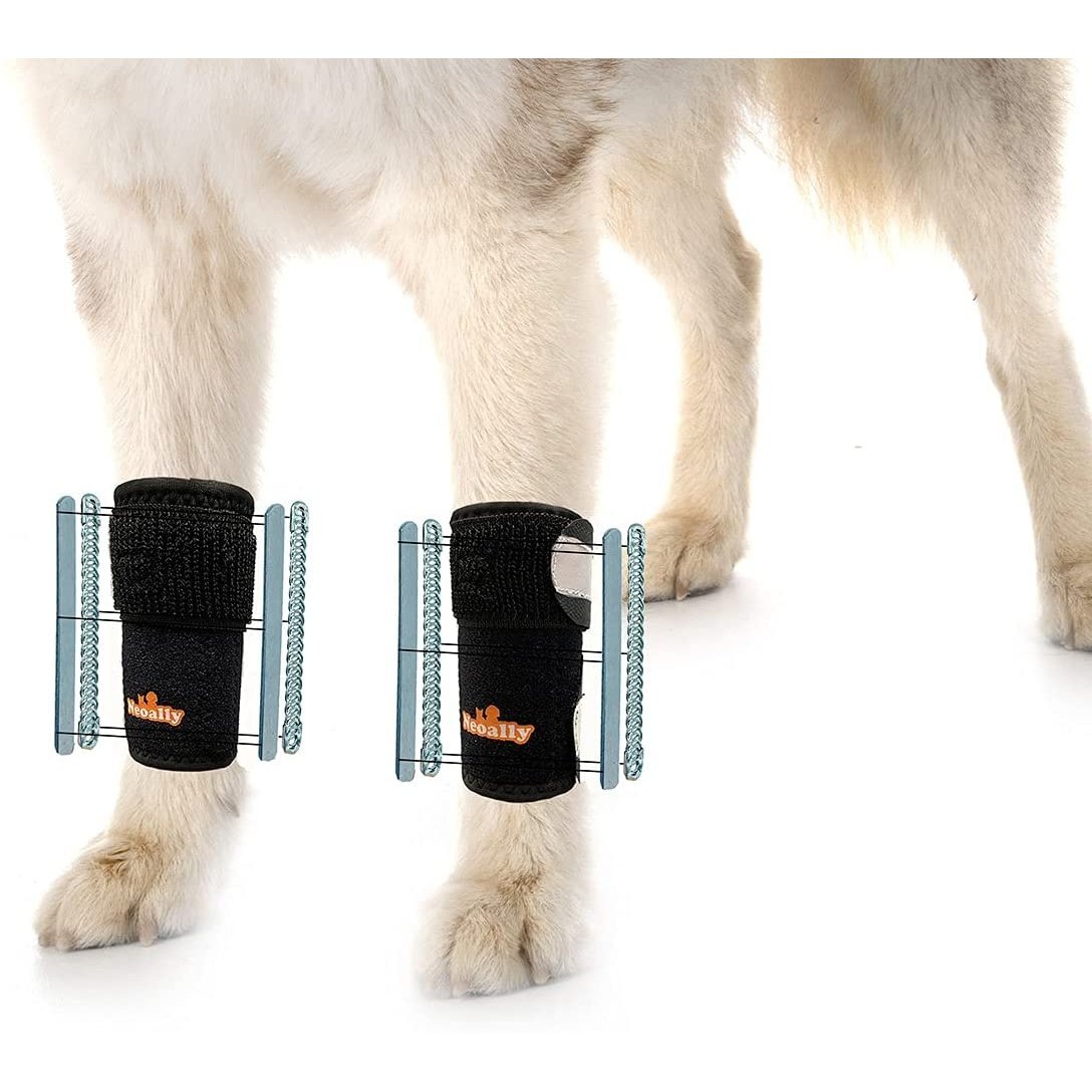 NeoAlly 3-in-1 Front Leg Dog Splint Brace: Rigid &amp; Spring Inserts, Safety Reflective Straps (Pair)
