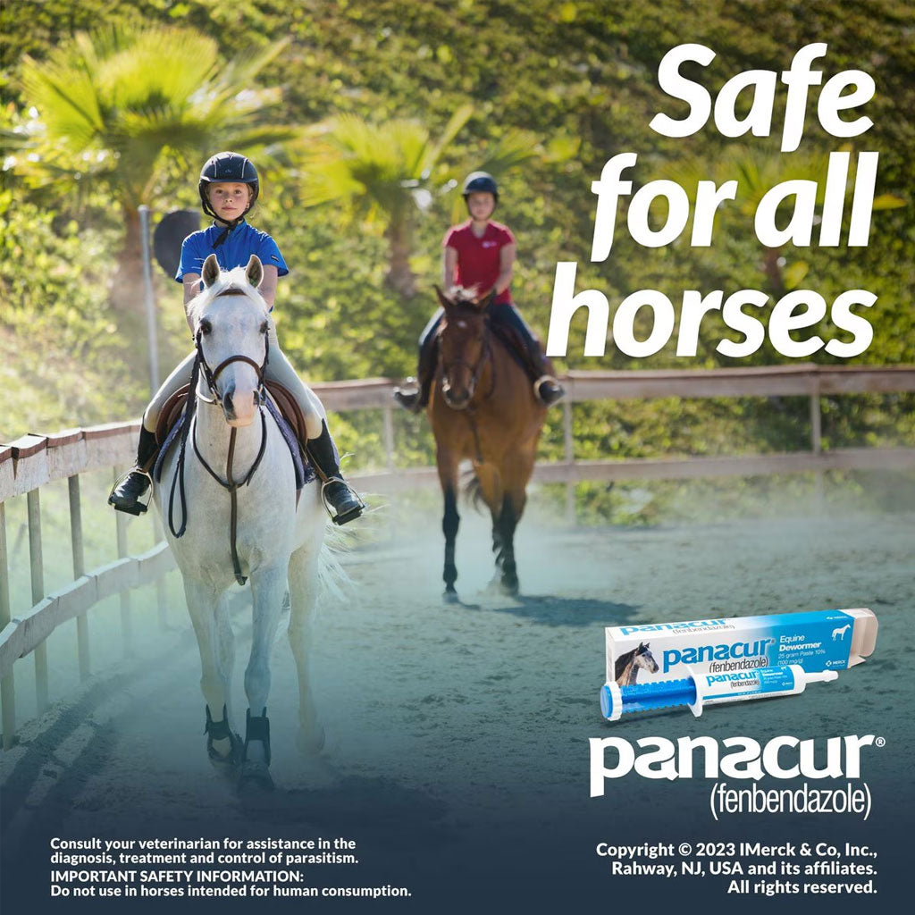 Panacur Equine Paste 10% Horse Dewormer, 25g