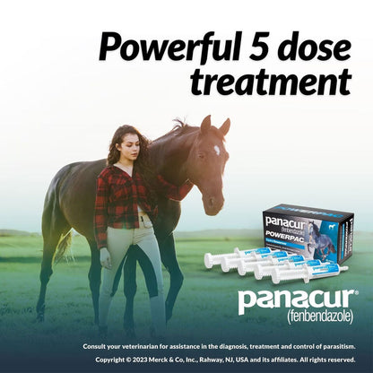 Panacur Powerpac Equine Paste 10% Horse Dewormer, 57g, 5-count