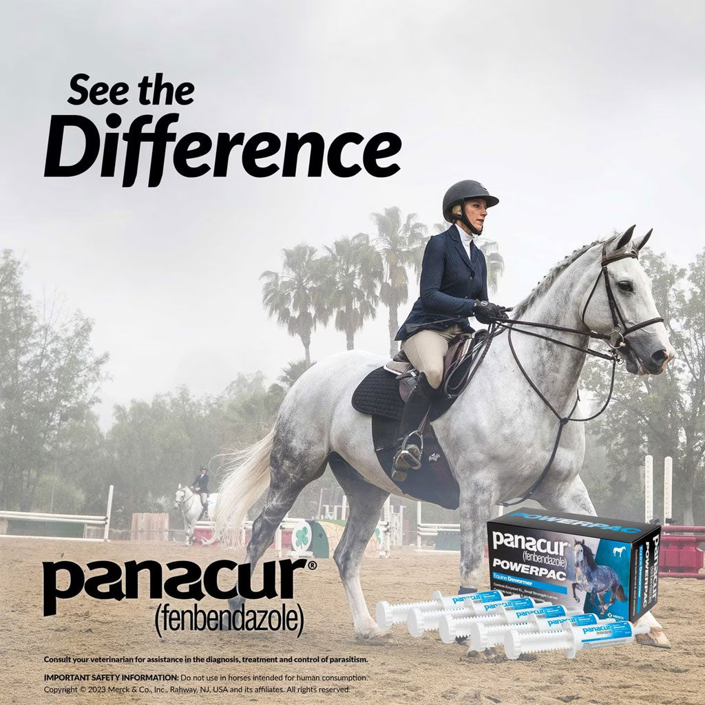 Panacur Powerpac Equine Paste 10% Horse Dewormer, 57g, 5-count