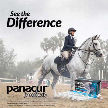 Panacur Powerpac Equine Paste 10% Horse Dewormer, 57g, 5-count