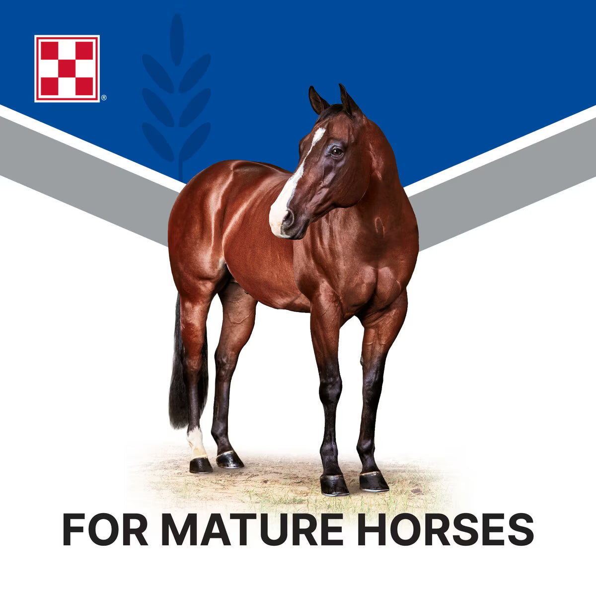 Purina Omolene 100 Active Pleasure Horse Feed, 50-lb