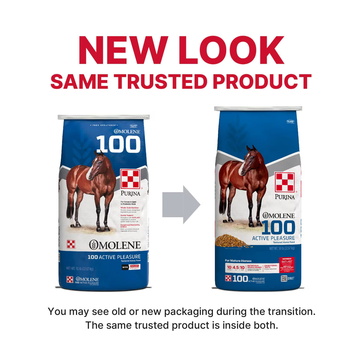 Purina Omolene 100 Active Pleasure Horse Feed, 50-lb