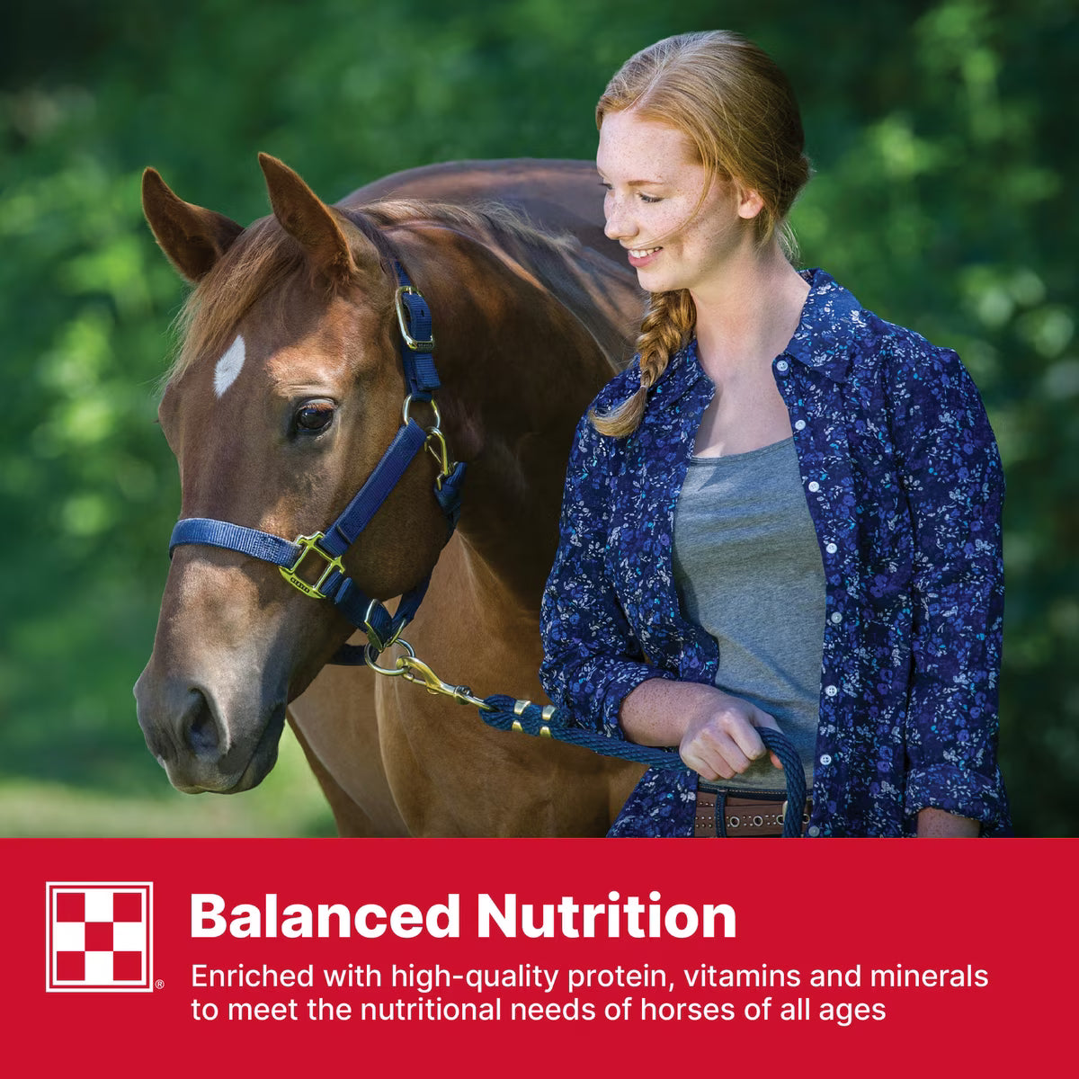 Purina Stratefy Professional Formula GX Horse Feed, 50-lb