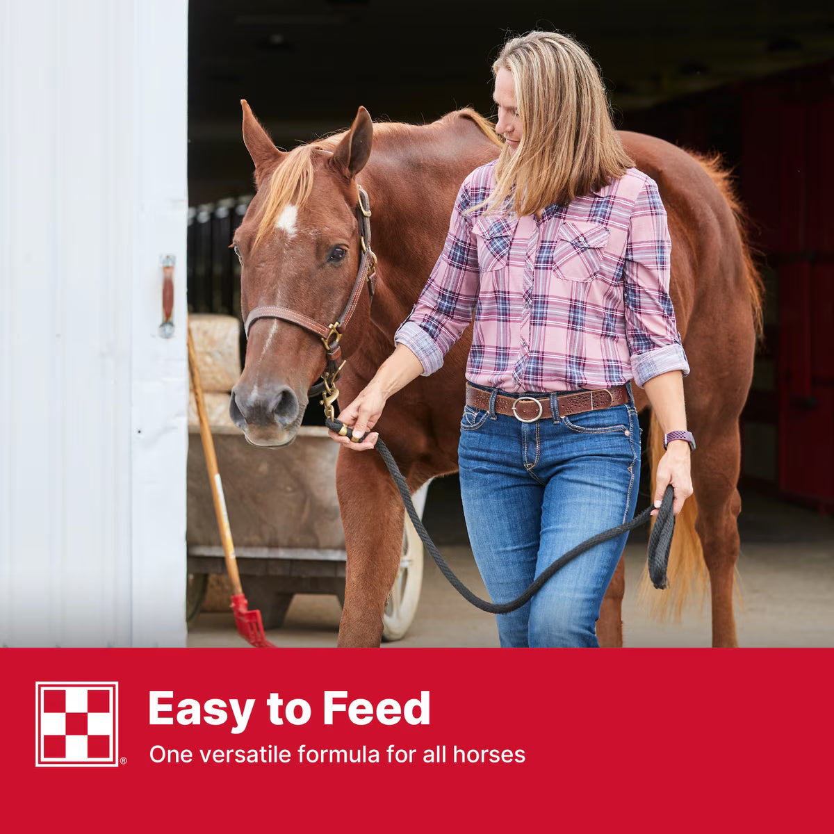 Purina Stratefy Professional Formula GX Horse Feed, 50-lb