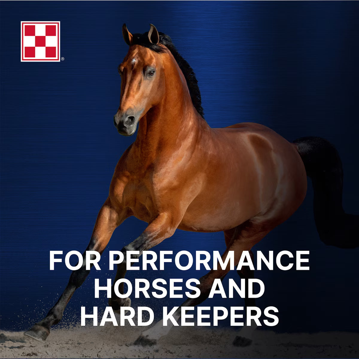 Purina Ultium Competition Horse Feed, 50-lb