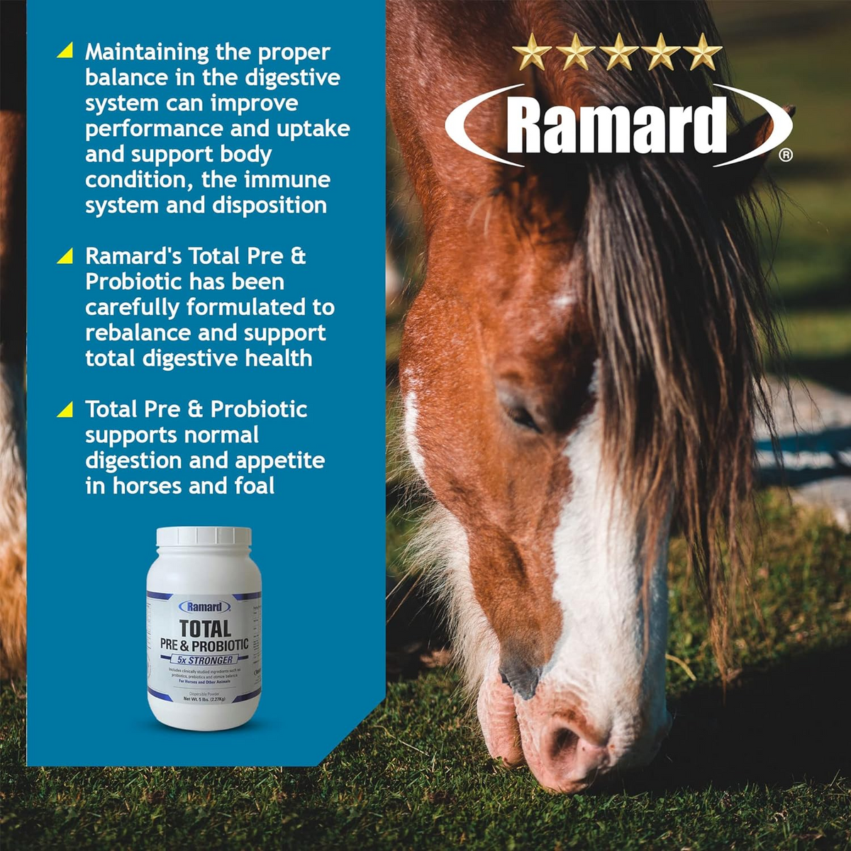 Ramard Total Pre &amp; Probiotics Powder For Horses