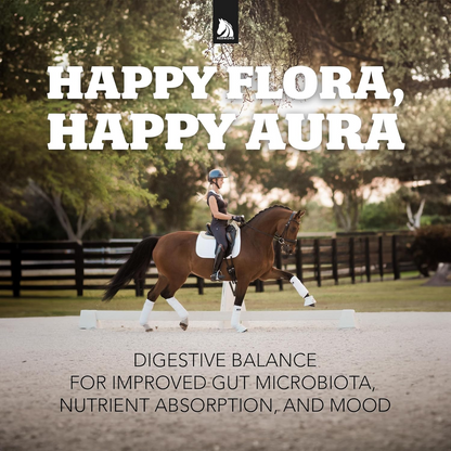 Redmond Daily Gold Natural Stress Relief for Horses