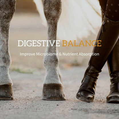 Redmond Daily Gold Natural Stress Relief for Horses