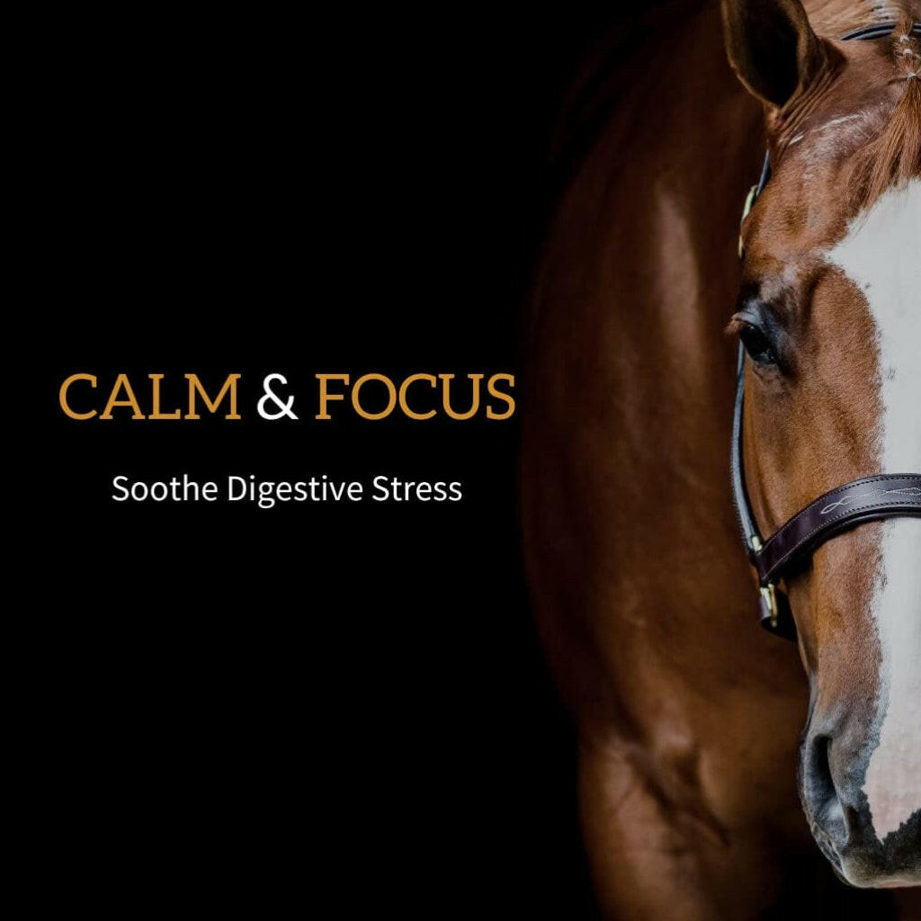 Redmond Daily Gold Natural Stress Relief for Horses